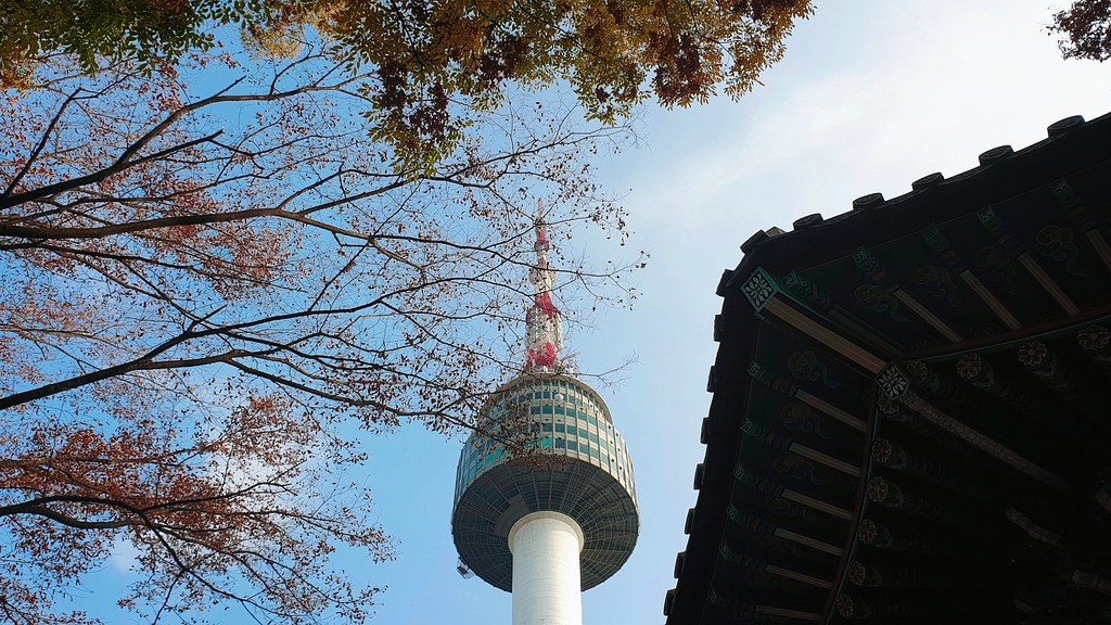 See Korea like a local